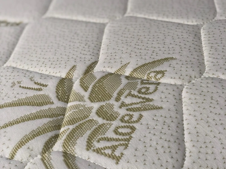 Aloe Vera_1_11zon.webp
