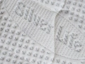 Apollo-silver_11zon.webp
