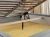 Regalia_jasmine90_7_3_11zon.webp