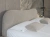 Ribes_3.webp